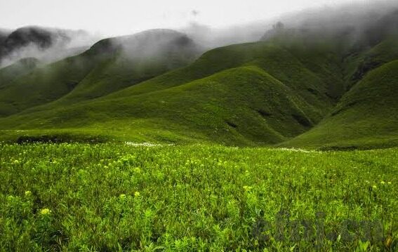 麻豆av一区二区天美传媒免费-纵谈网络文化，麻豆、天美传媒与当代人的娱乐新趋势