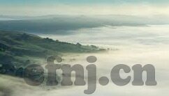 色人妻在线-探索人性与情感的多维视角，色人妻在线现象的背后