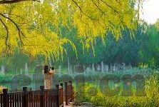 校园春色 人妻-校园春色与人妻的微妙交织